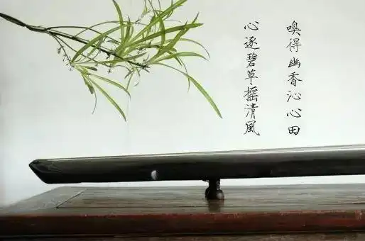 古筝能醉我心古琴可定我意