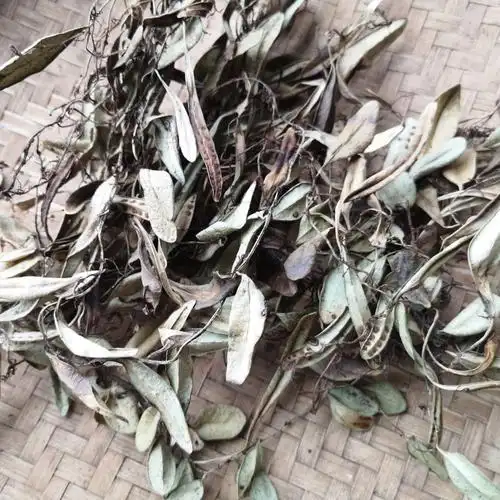 贵州野生草药抱石莲500g水洗干货中药材瓜米菜鱼鳖草石瓜子