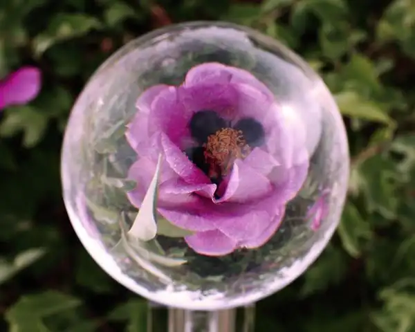 一组玻璃球试拍