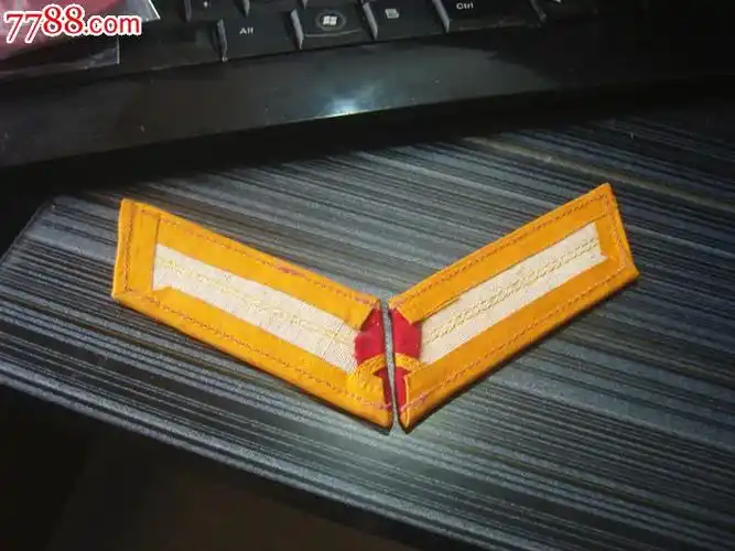 好品58式准尉大衣领章.