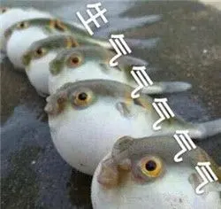河豚gif眼睛gif萌萌哒gif生气气气气气gif