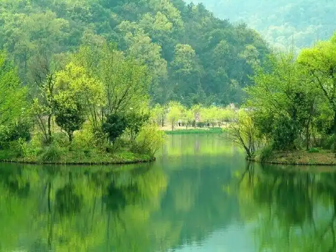 部编版语文二年级下册《找春天》ppt