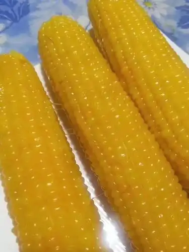 20年新绿塔速冻富硒黄糯玉米农产品新鲜玉米