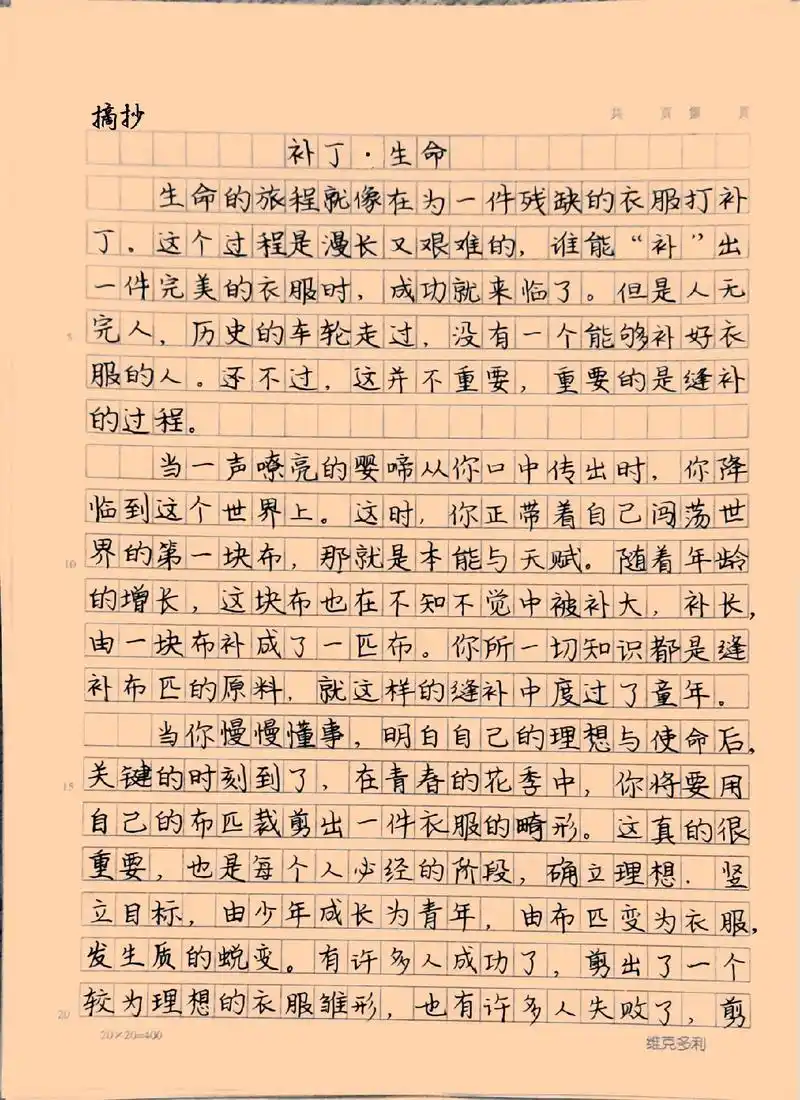 优秀作文手写摘抄《补丁·生命》#每日推文 #作文 #抖音图文 - 抖音