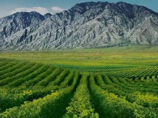 塞上江南#大美宁夏#这里既有连绵起伏的贺兰山山脉,也有毛 - 抖音