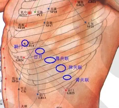 肝脾肾平衡调节5位置——附:消淤滞记录