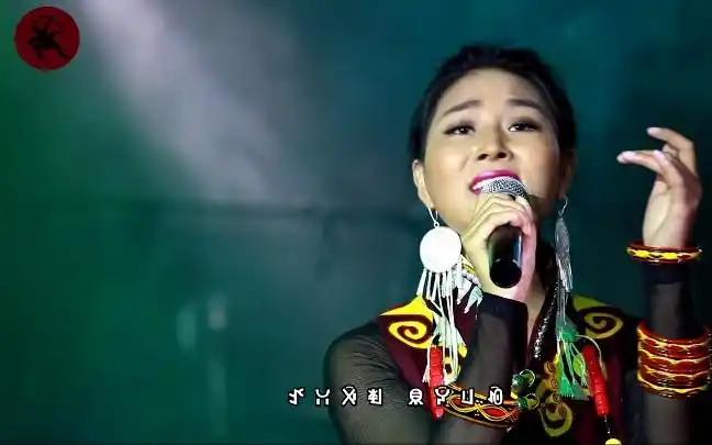 【心灵的天空】海来阿卓(2014年彝族年晚会)_哔哩哔哩_bilibili