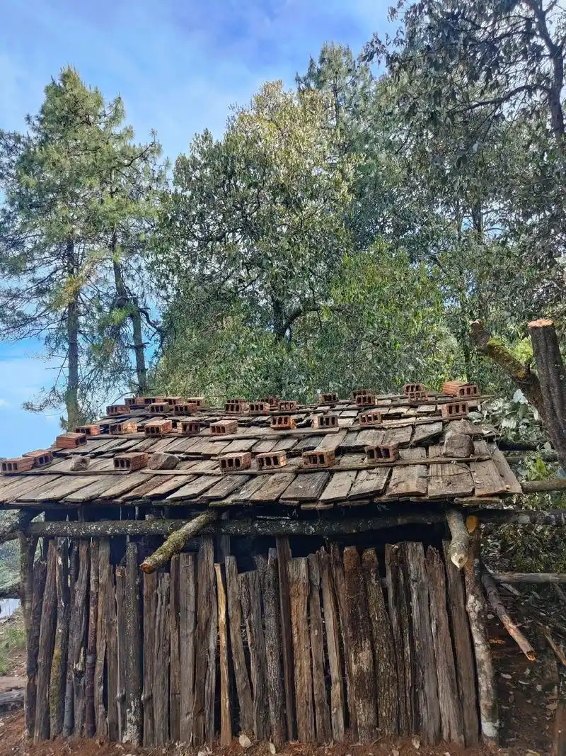 彝族最古老的房子,以前叫"珠嘿"满满的回忆,跟一位老人一起翻 - 抖音