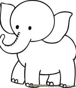 小鸡画大象象简笔画