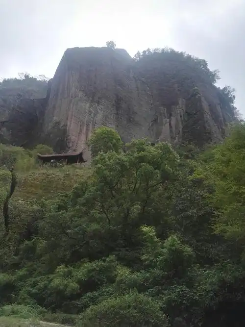 2020云窝-旅游攻略-门票-地址-问答-游记点评,武夷山旅游旅游景点推荐