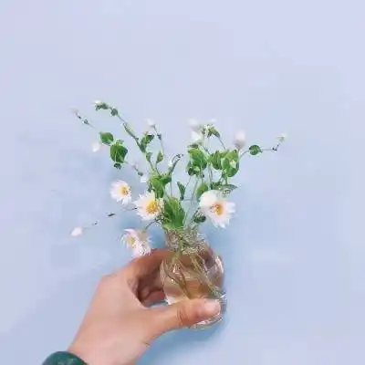 40岁大人用的微信头像花微信头像40岁女专用花