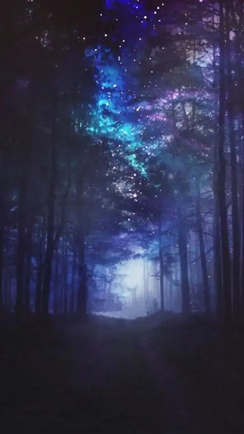 壁纸.动漫.唯美.森林