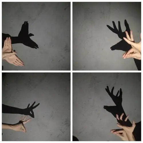 今天我们也可以用手玩出一些简单好看的手影.