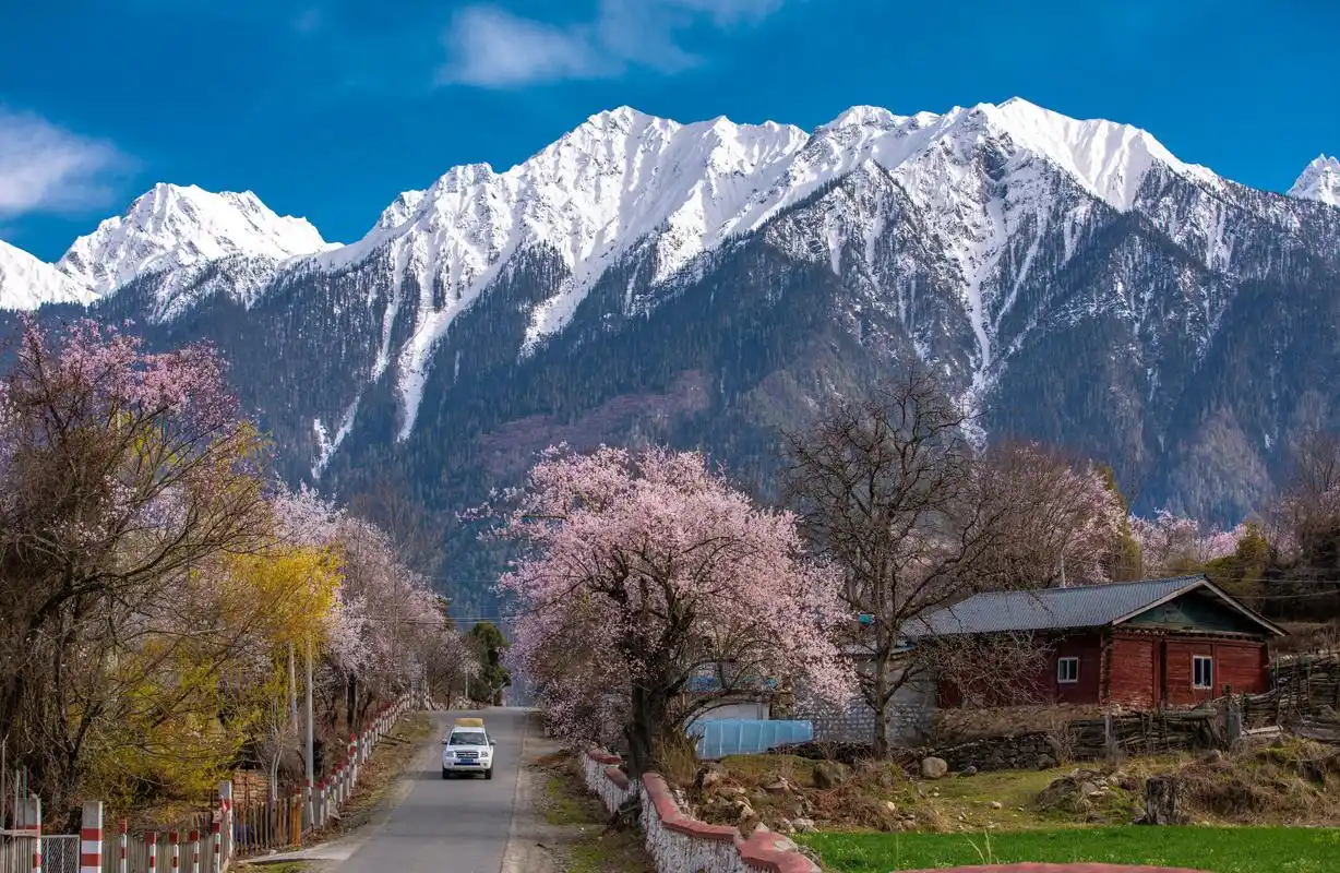 位于中国西藏自治区林芝市波密县,是一处以桃花景观为主的自然风景区