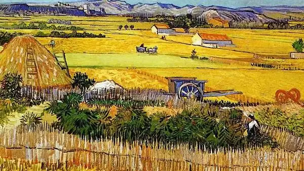 梵高:你必须"亲身"接触他! - 日记 - 豆瓣