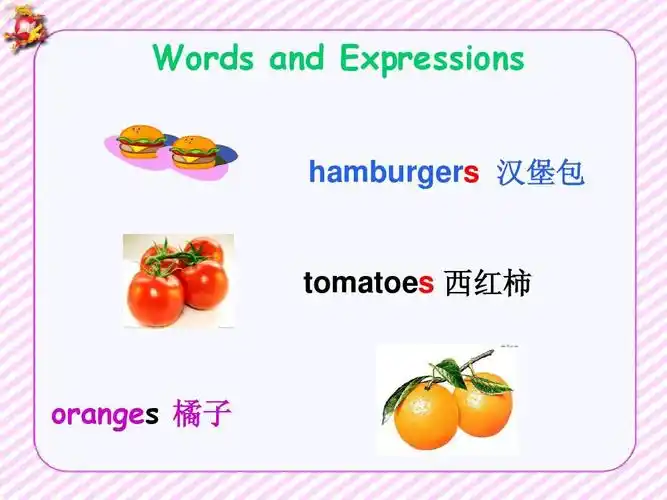words and expressions hamburgers 汉堡包 tomatoes 西红柿 oranges