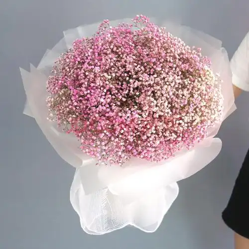 懂你鲜花速递满天星花束礼盒彩色满天星表白送女友闺蜜生日礼物全国