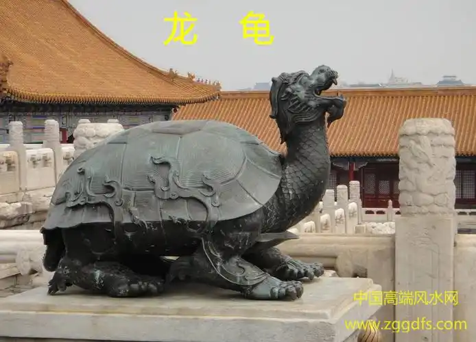 龙龟是一种风水摆件
