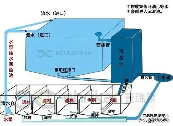 假山鱼池锦鲤池景观施工,含过滤和铺管布局图