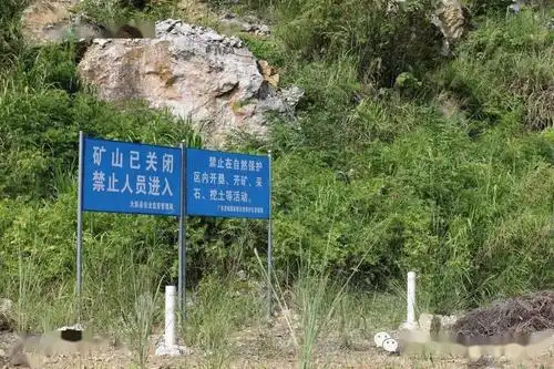 神奇的动植物|疑似消失多年的黑叶猴身影再现丛林中_自然保护区