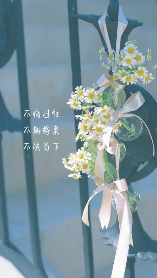 带文字的美图凡事不走心就不会伤心