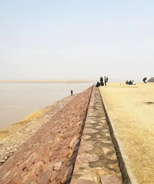 黄河最后一次改道,塑造了一片沃土|黄河故道|砀山|淮河|砀山县_网易