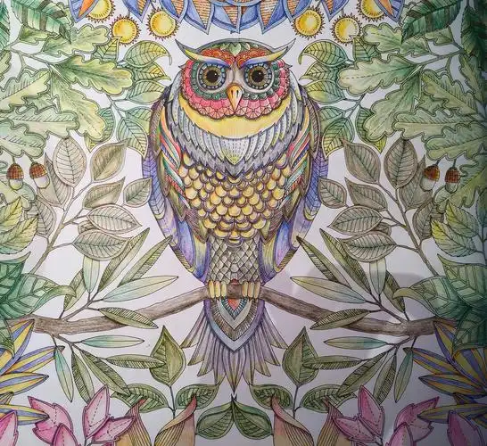 秘密花园上色|插画|艺术插画|junzuofolish - 原创作品 - 站酷 (zcool