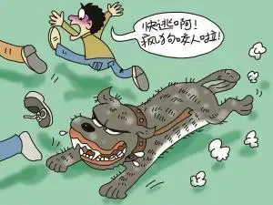 人被疯狗咬了会怎么样 被疯狗咬