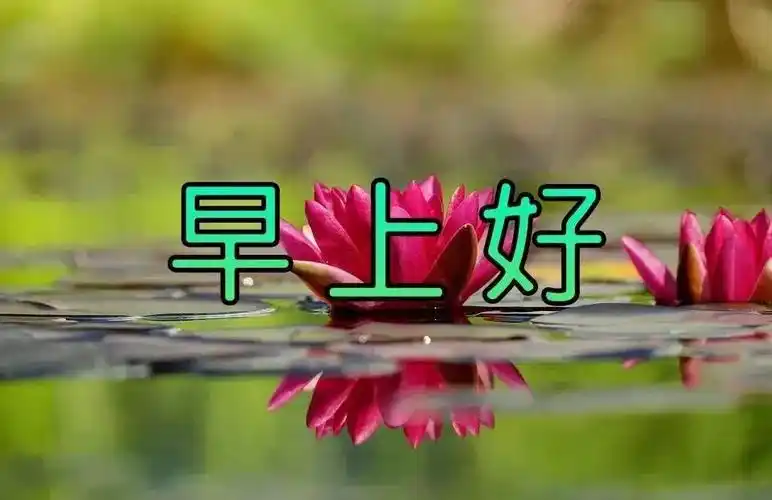 原创1月15日寒冷清晨早上好漂亮清新早安问候语图片