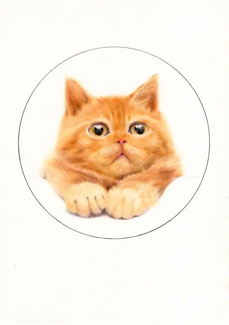 彩铅 可爱猫咪绘画步骤分享