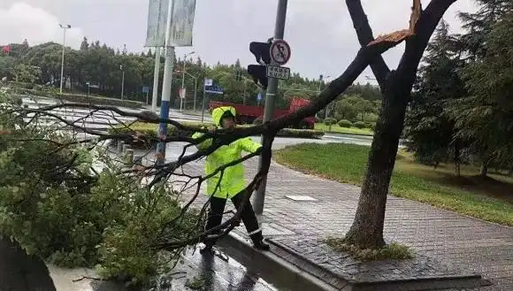 利奇马逼近上海全面进入台风临战状态