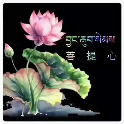 希阿荣博堪布著作《次第花开》珍宝人生(四)菩提心