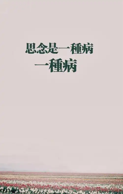 思念是一种病加速版