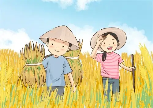 体验生活四川一高校将种田纳入必修课学生需亲自下田种地挣学分