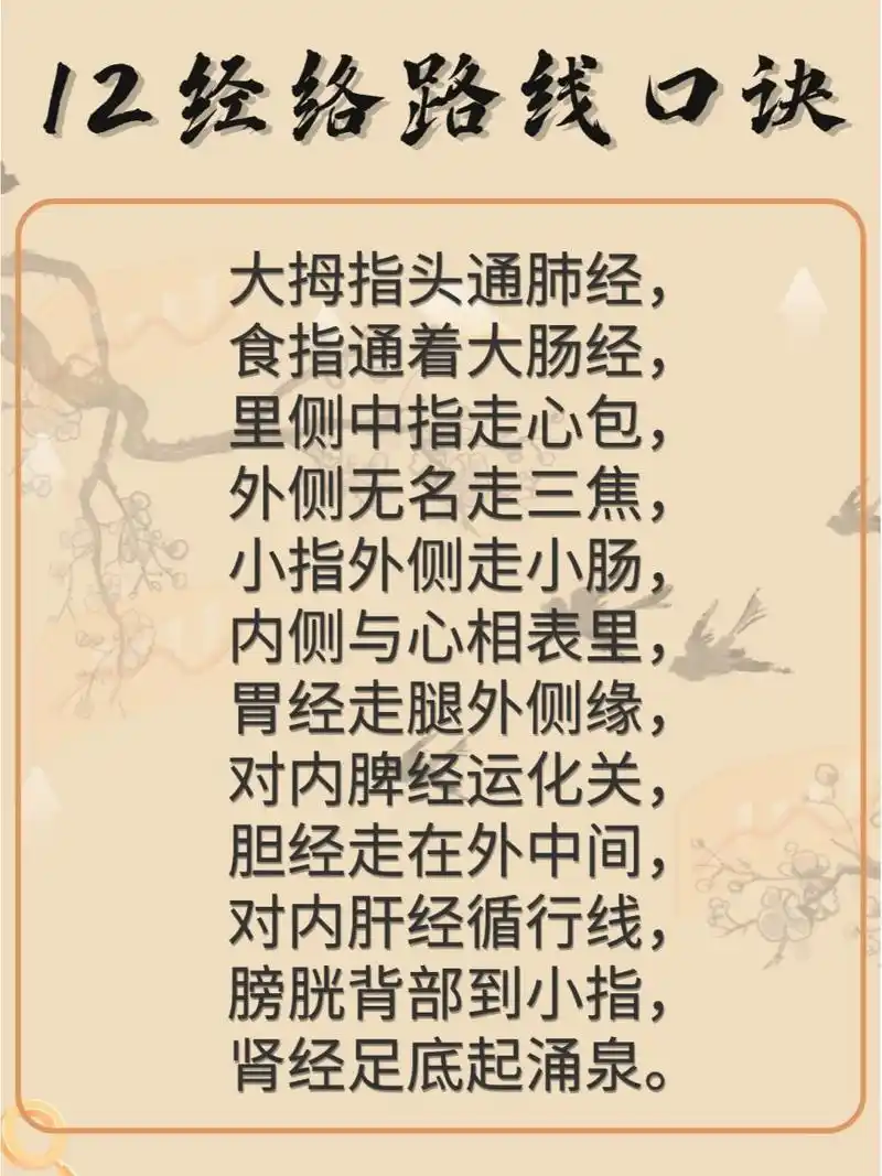 12经络路线口诀 大拇指头通肺经, 食指通着大肠经, 里侧中指走心包