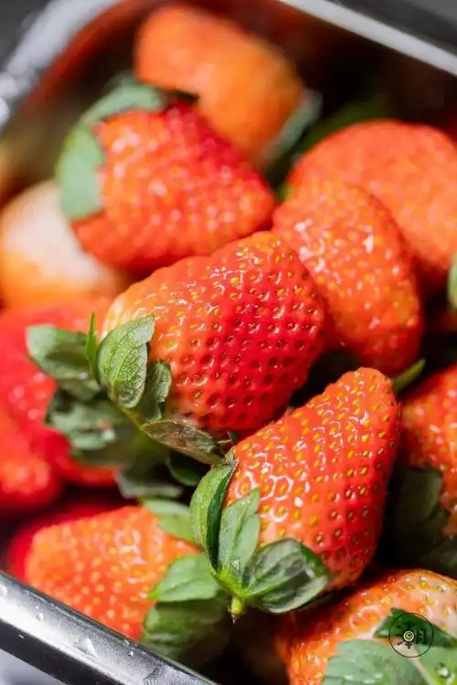 圈粉草莓来啦冬季限定少女心