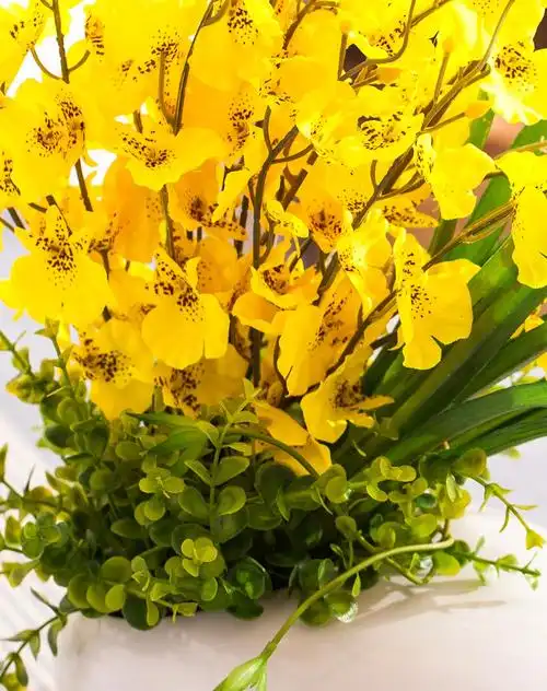 高档整体家装花卉-跳舞兰