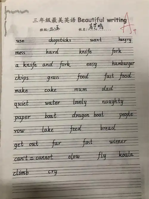 高新实验学校三年级英语书法比赛