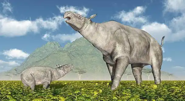 巨犀地球上生存过的最大的陆地哺乳动物