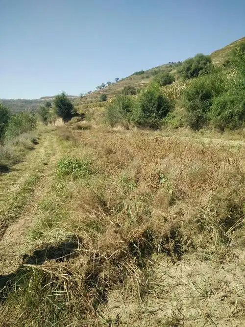 我的国庆节——乡村纪行