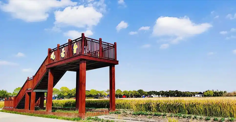 在水稻田画作旁设置了观景台,可以看到美丽的乡间风景,方便游玩市民
