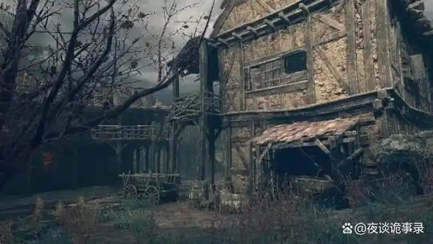 在某个偏僻的山区,有一座被人们称为"黑暗之屋"的古宅.