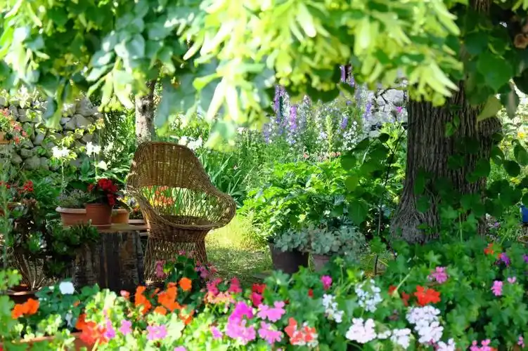 清新美丽的小花园1366x768分辨率查看