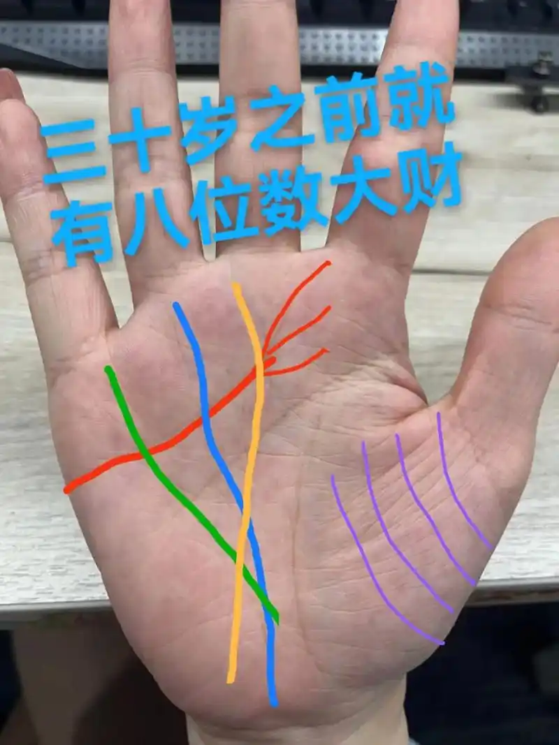 掌纹的秘密 #旺夫女人 #暴富 #手纹 #掌纹  这位女生 - 抖音