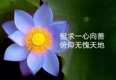但求一心向善俯仰无愧天地