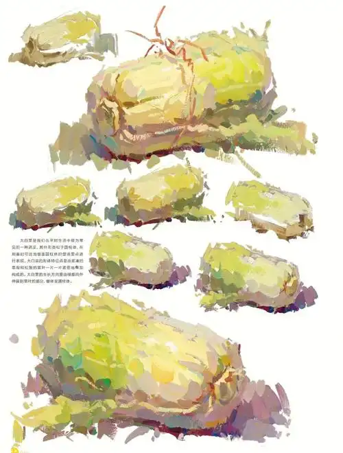 让人头疼的白菜怎么画干货赶紧收藏吧