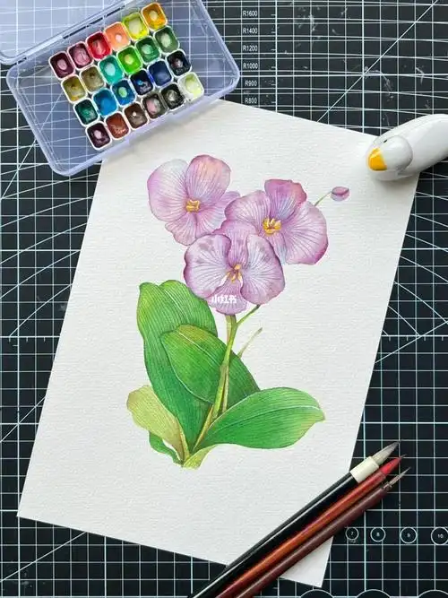 色彩还是饱和略高了些,需要继续努力呀99999999水彩颜料96