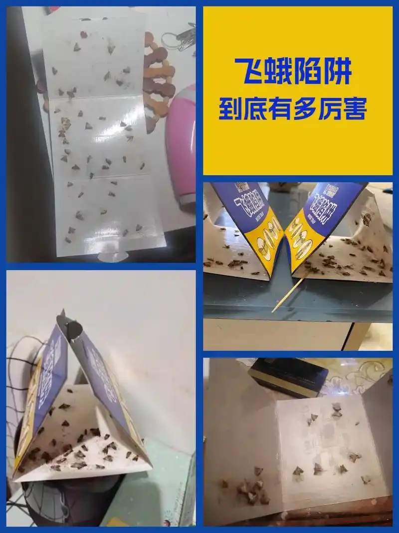 随着天气越来越热,家里的飞蛾数量也与日 - 抖音