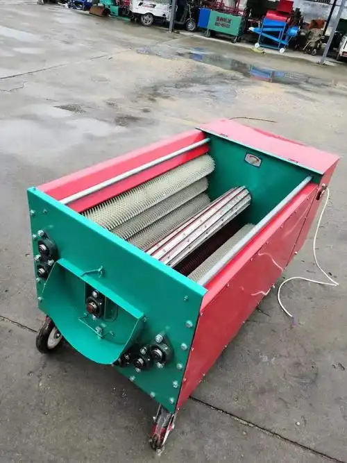 大型核桃去皮机 高产量大型去皮机 青皮核桃去皮机