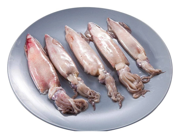 鱿鱼属于鱼类吗_鱿鱼,鲨鱼哪种鱼不属于鱼类 蚂蚁庄园12月4日小课堂